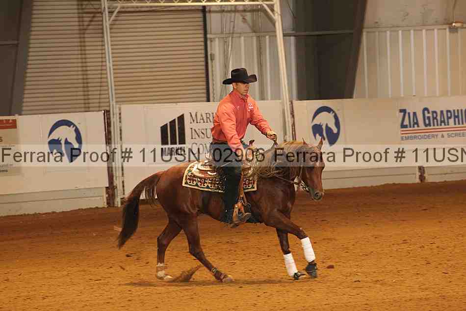 Proof 11usn_02906