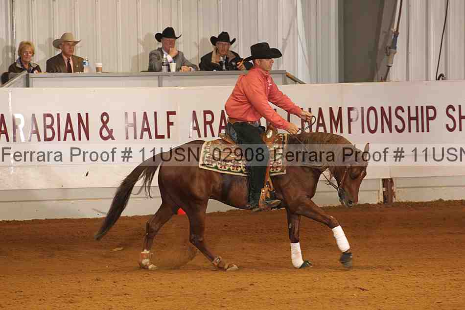 Proof 11usn_02908