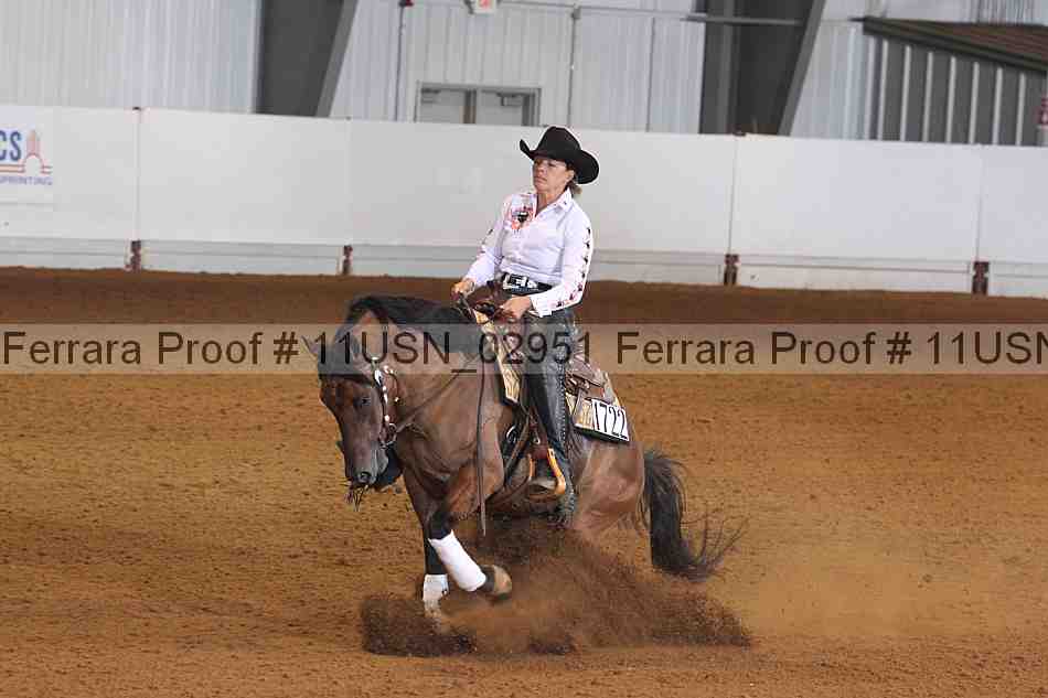Proof 11usn_02951