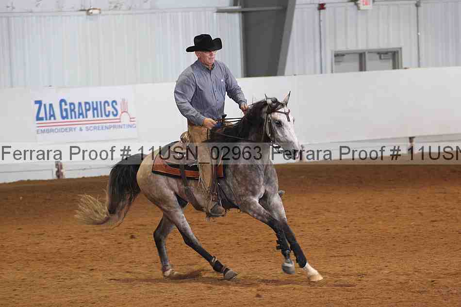 Proof 11usn_02963
