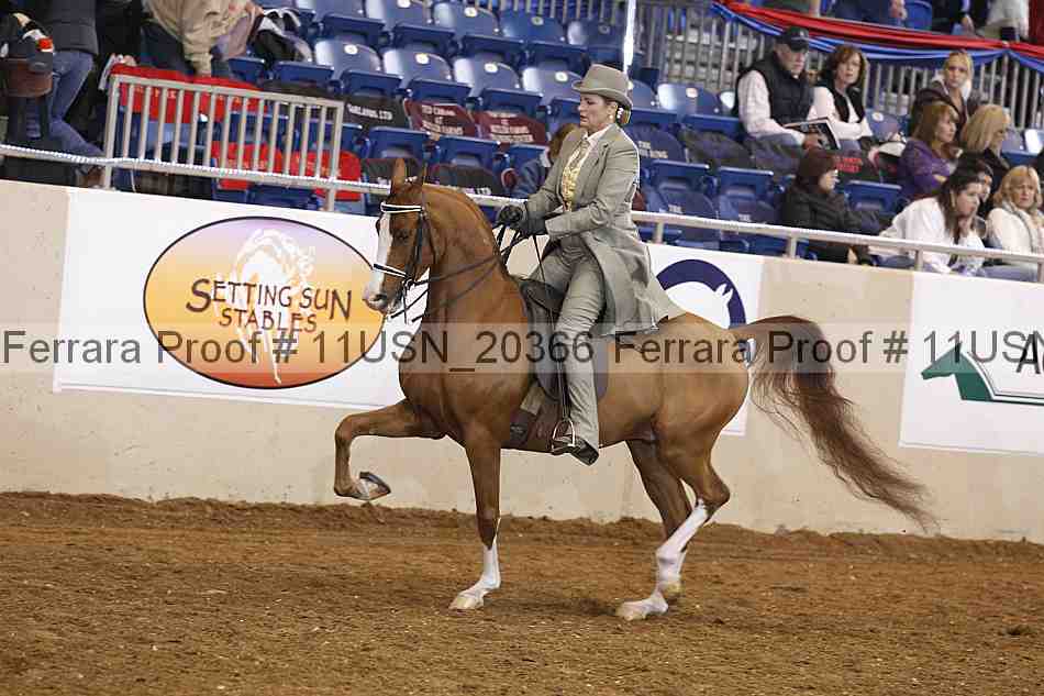 Proof 11usn_20366