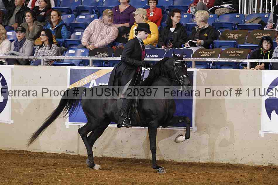 Proof 11usn_20397