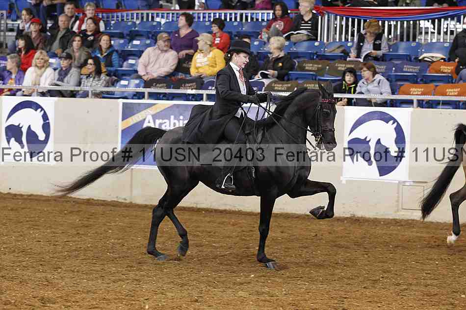 Proof 11usn_20403