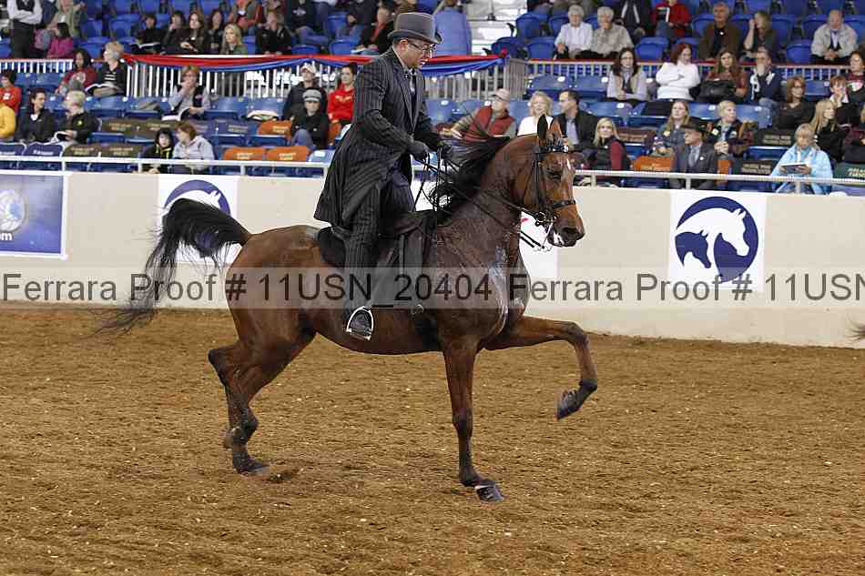 Proof 11usn_20404