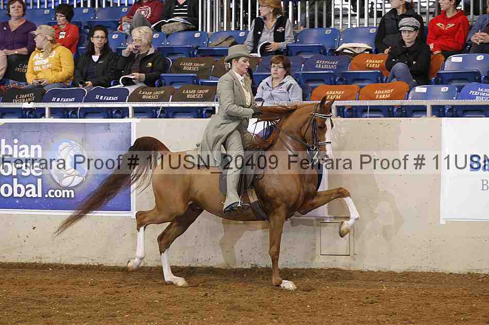 Proof 11usn_20409