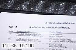 11usn_02196 proof