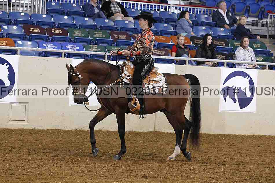 Proof 11usn_02203