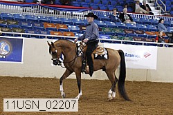 11usn_02207 proof