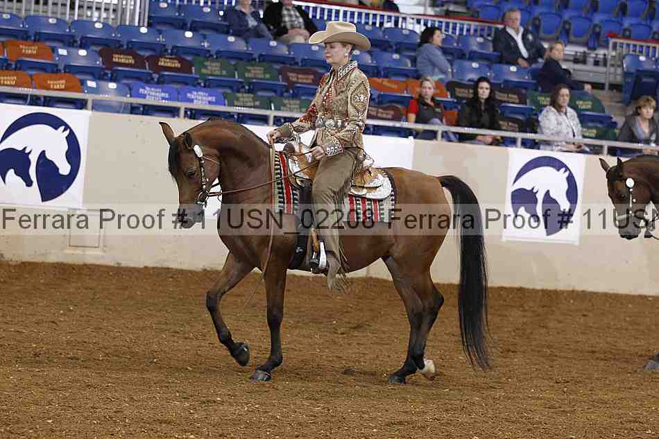 Proof 11usn_02208
