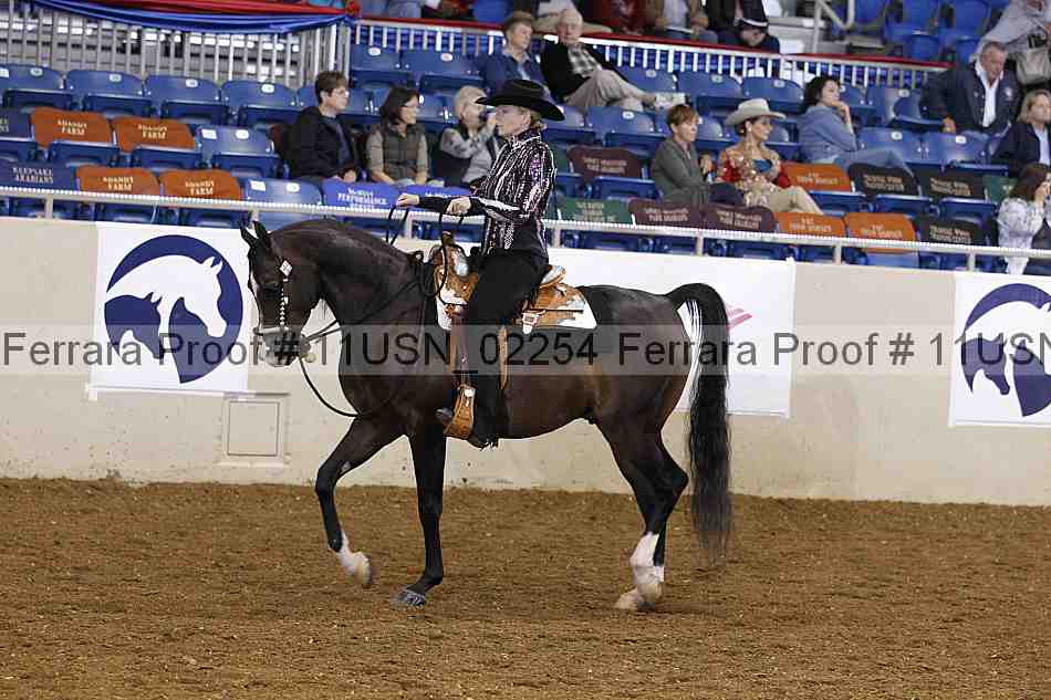 Proof 11usn_02254