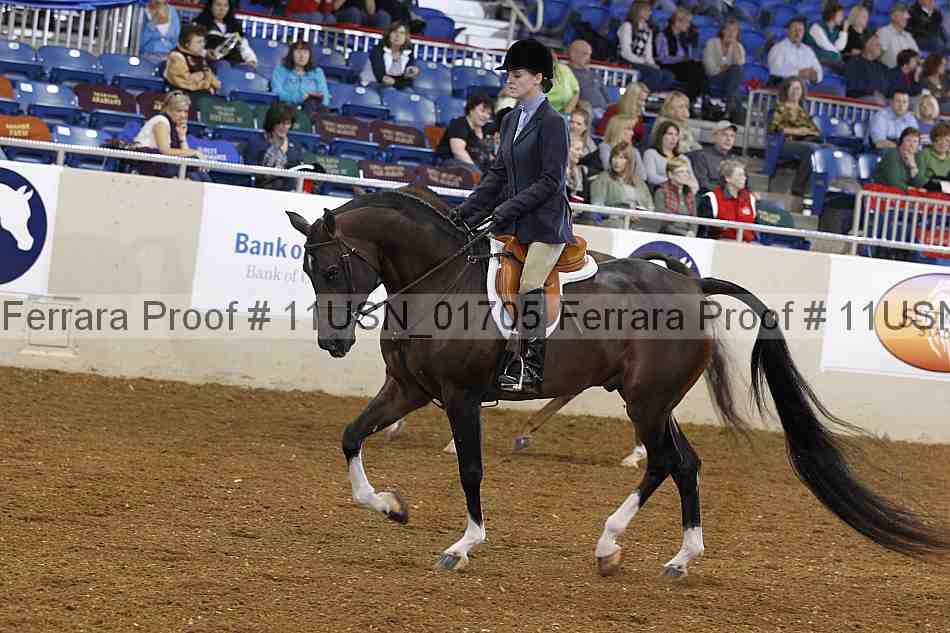 Proof 11usn_01705