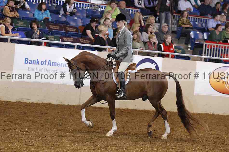 Proof 11usn_01706