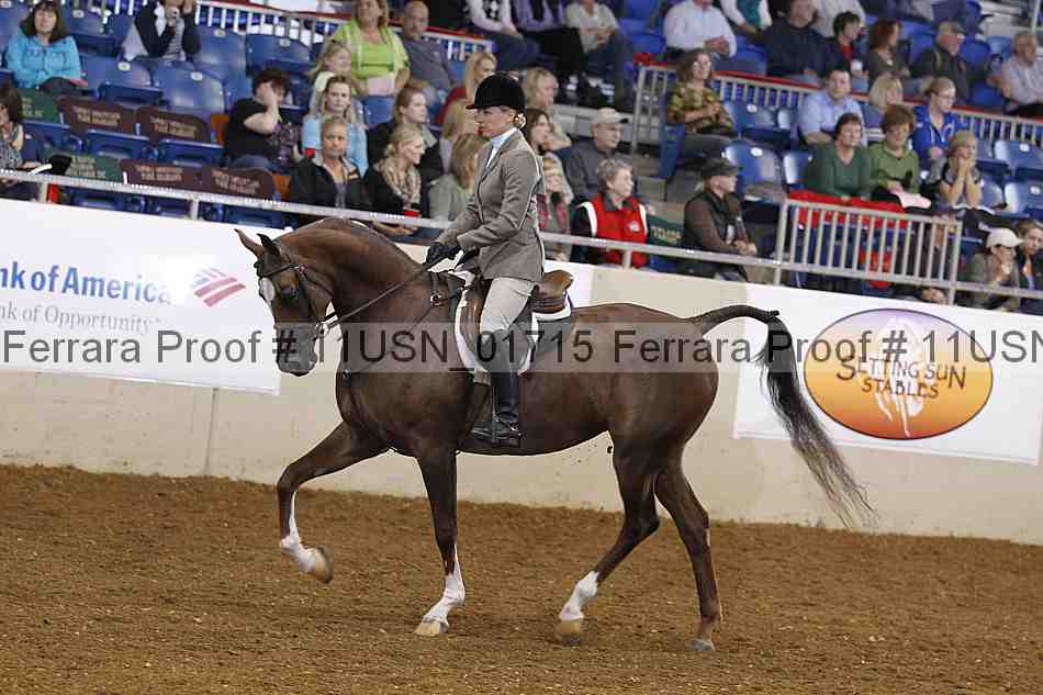 Proof 11usn_01715