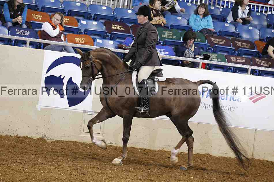 Proof 11usn_01716