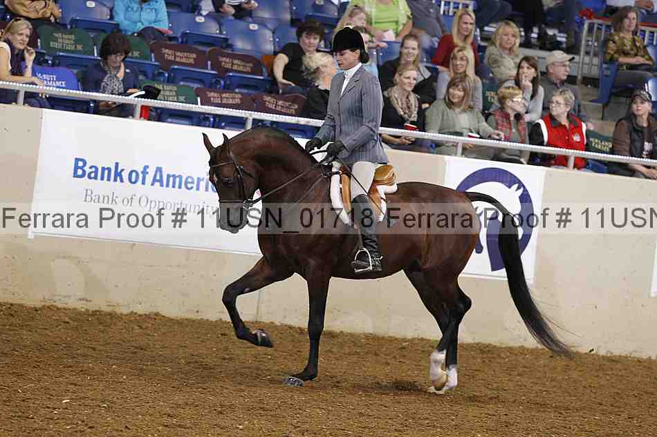 Proof 11usn_01718