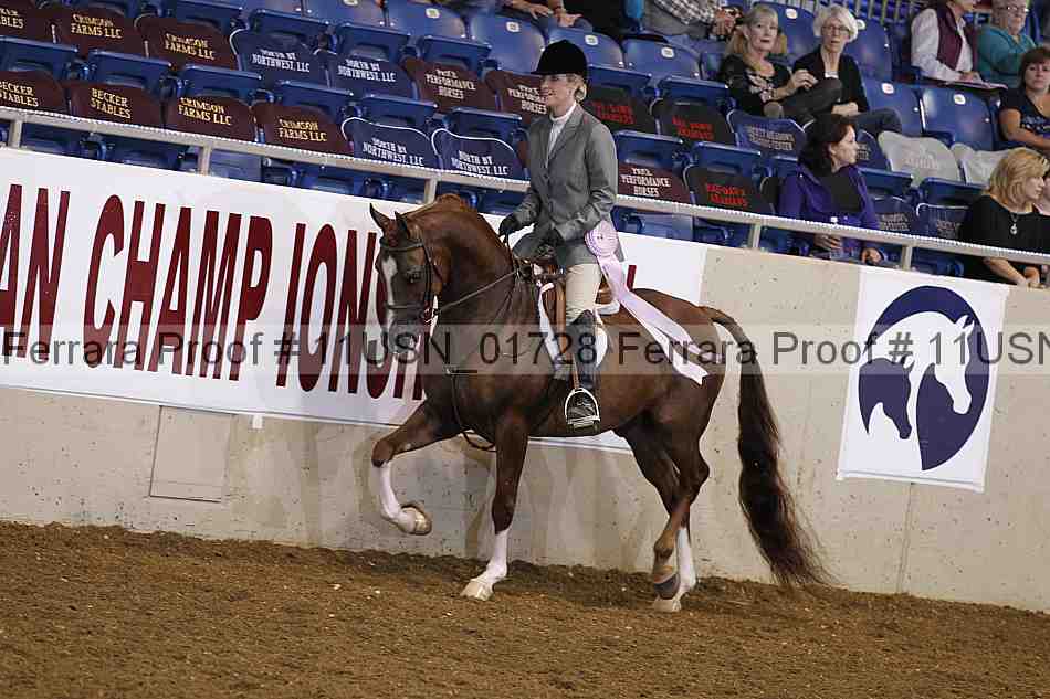 Proof 11usn_01728