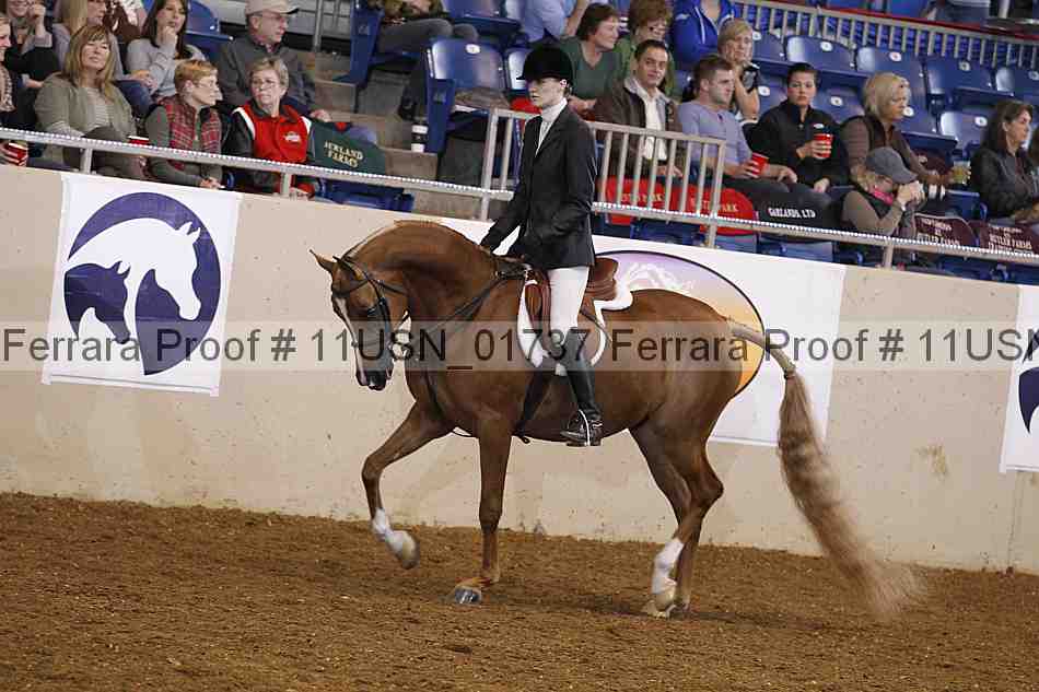 Proof 11usn_01737