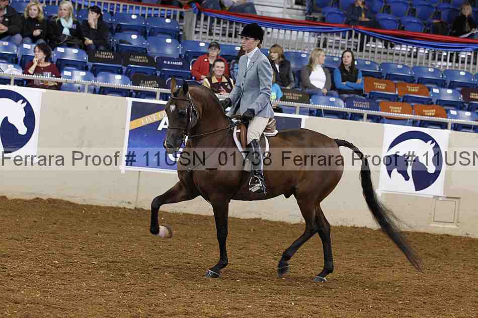 Proof 11usn_01738