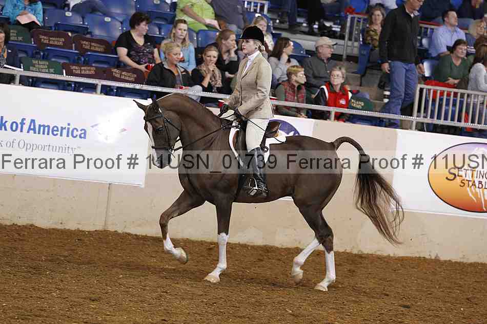 Proof 11usn_01739