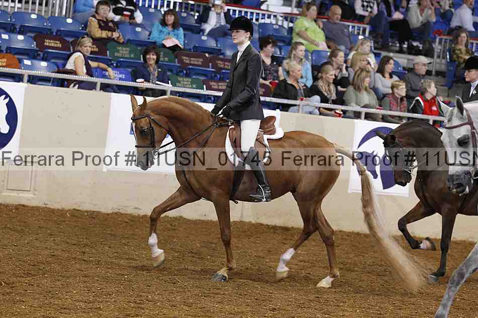 Proof 11usn_01745