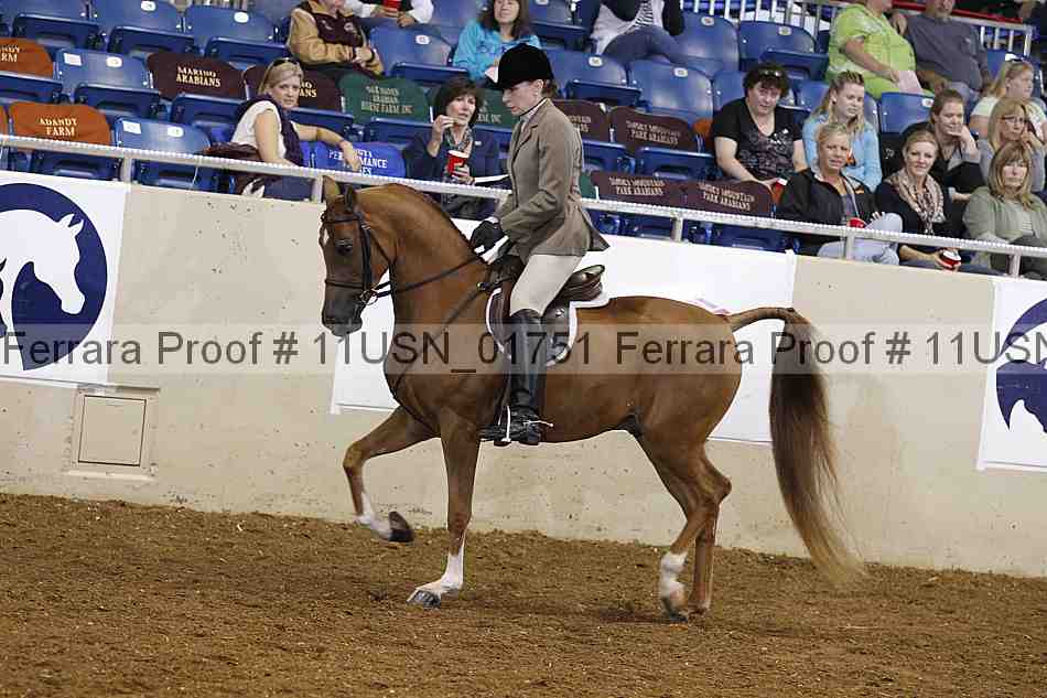 Proof 11usn_01751