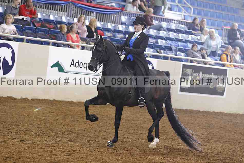 Proof 11usn_09011