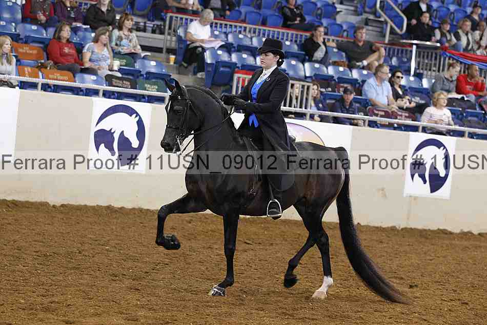 Proof 11usn_09012