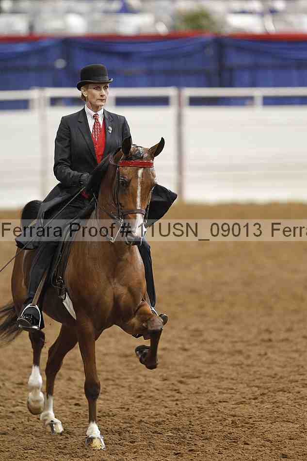 Proof 11usn_09013