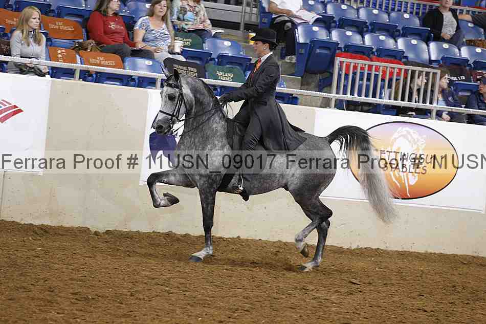 Proof 11usn_09017