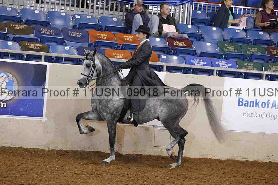 Proof 11usn_09018