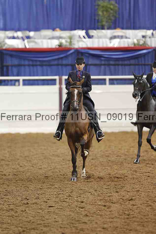 Proof 11usn_09019