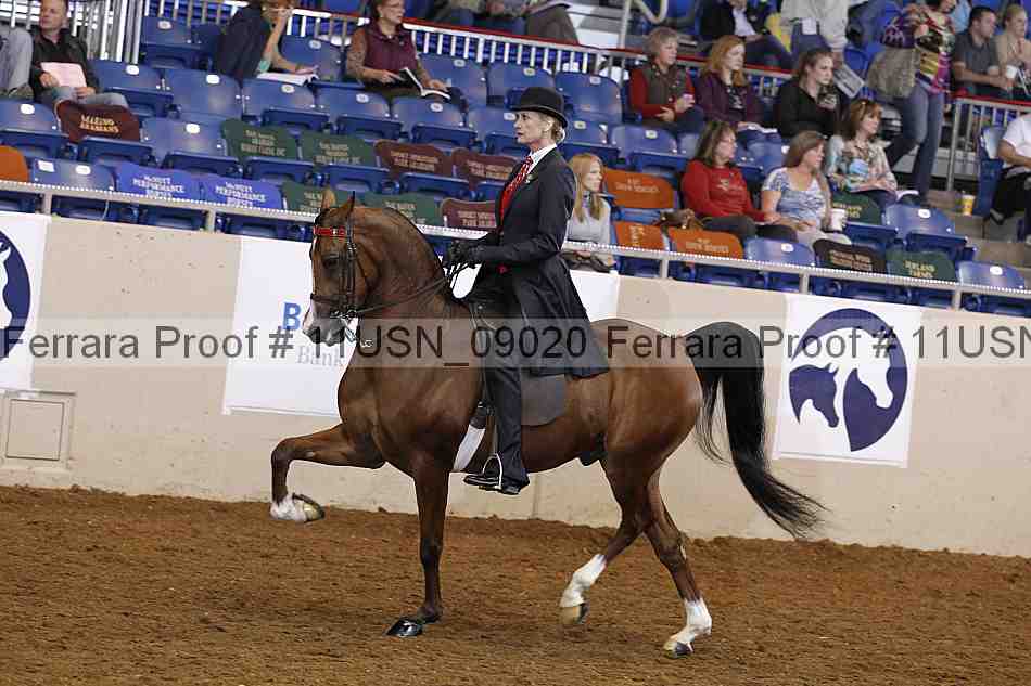 Proof 11usn_09020