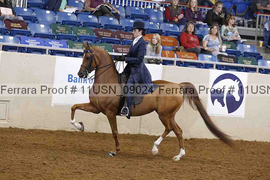 Proof 11usn_09024