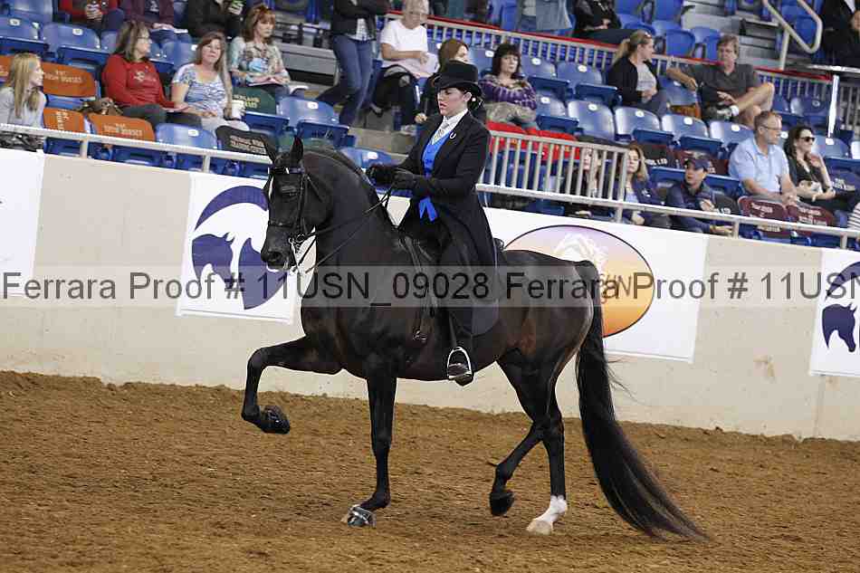 Proof 11usn_09028