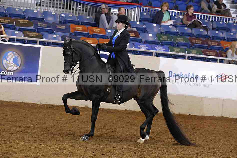 Proof 11usn_09029