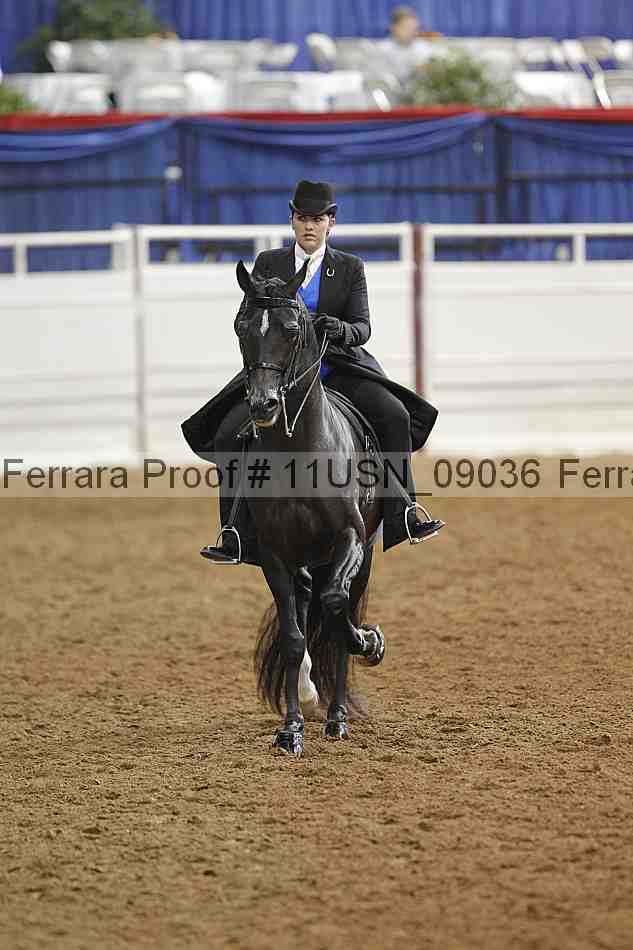 Proof 11usn_09036