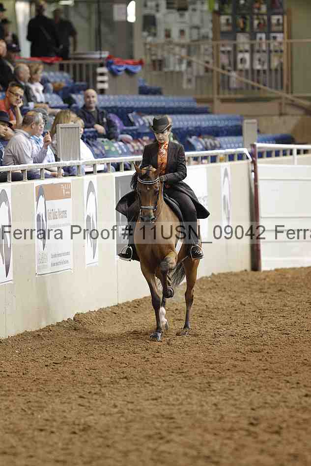 Proof 11usn_09042