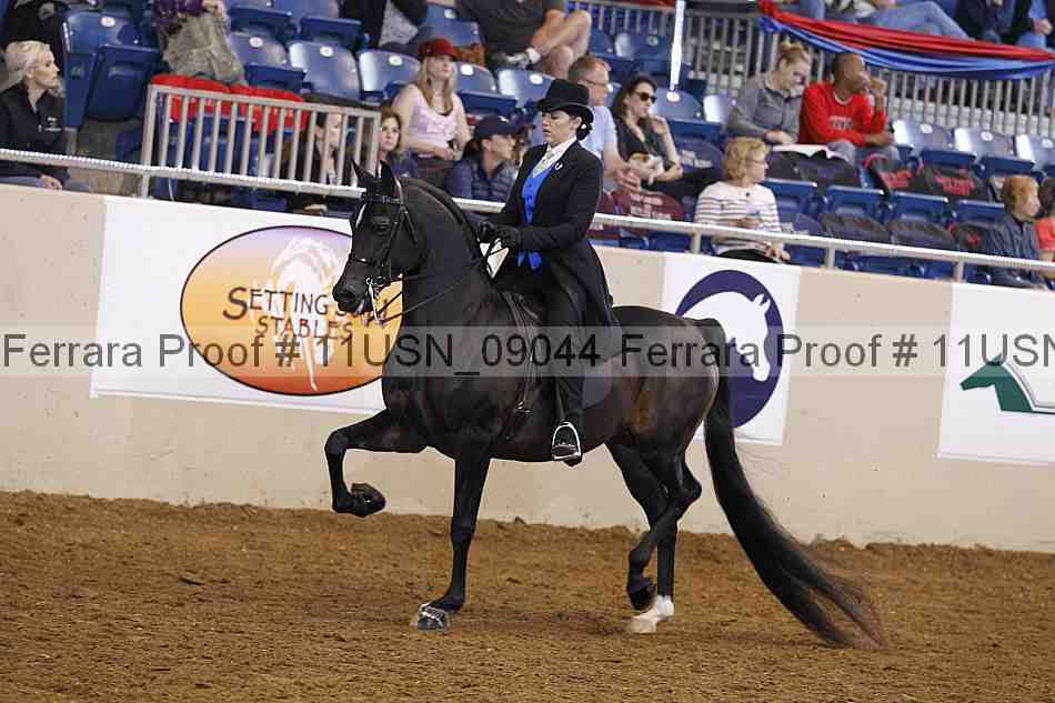 Proof 11usn_09044