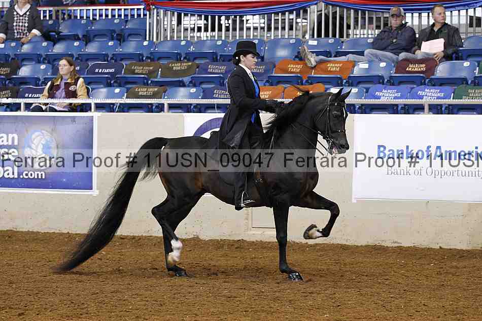 Proof 11usn_09047