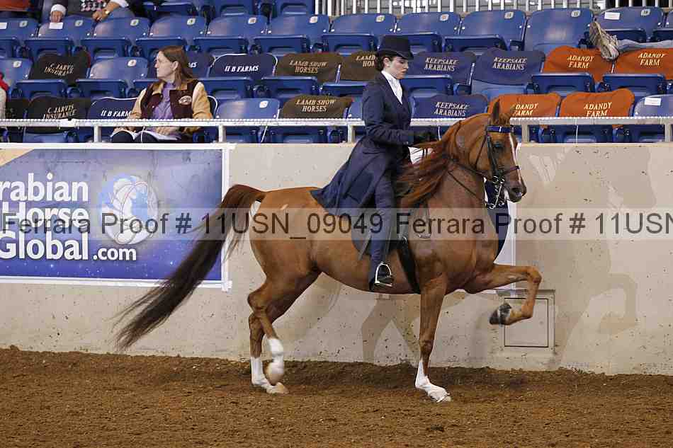 Proof 11usn_09049