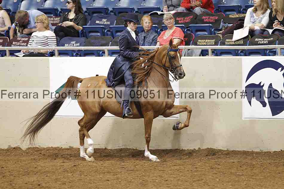 Proof 11usn_09051