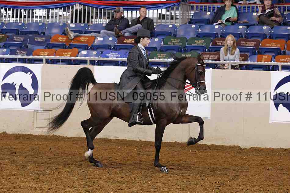 Proof 11usn_09055