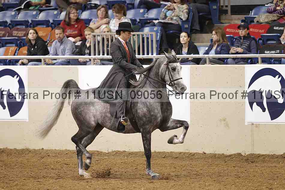 Proof 11usn_09056