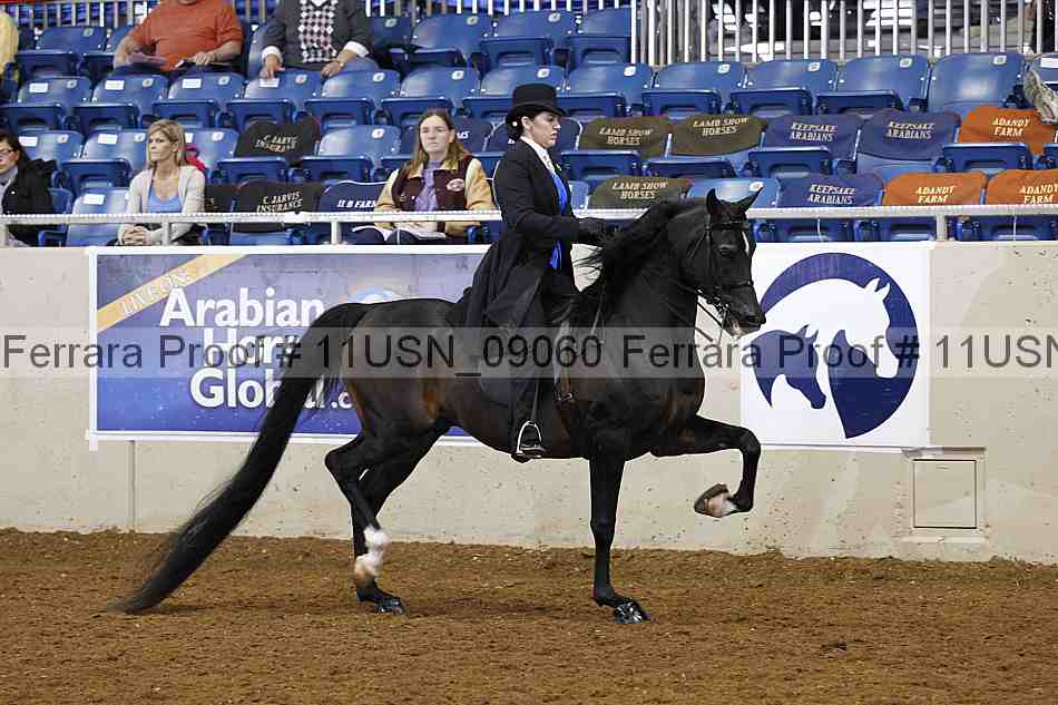 Proof 11usn_09060