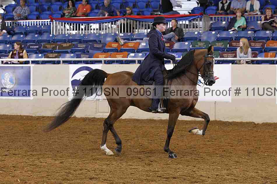Proof 11usn_09061