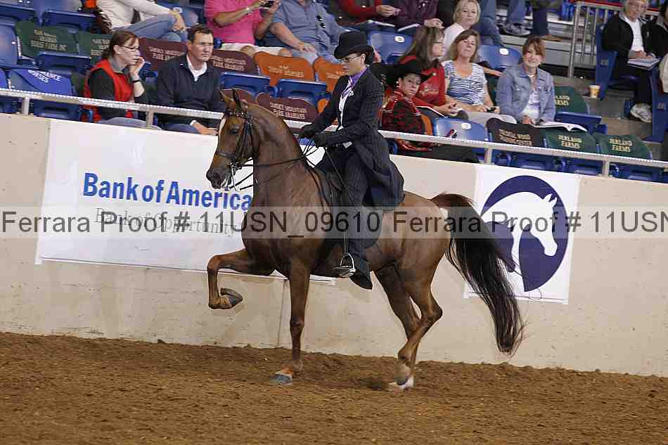 Proof 11usn_09610