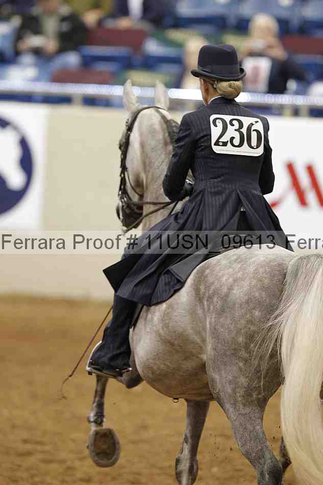 Proof 11usn_09613