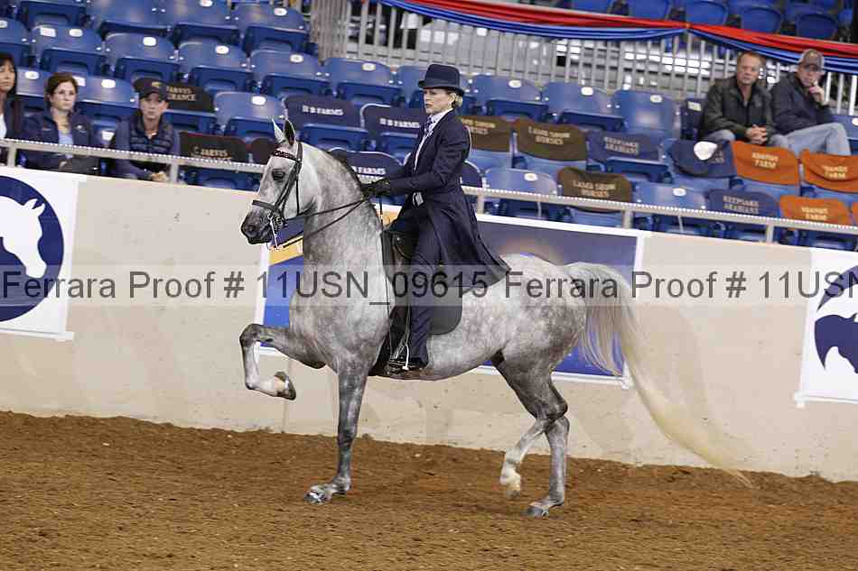 Proof 11usn_09615