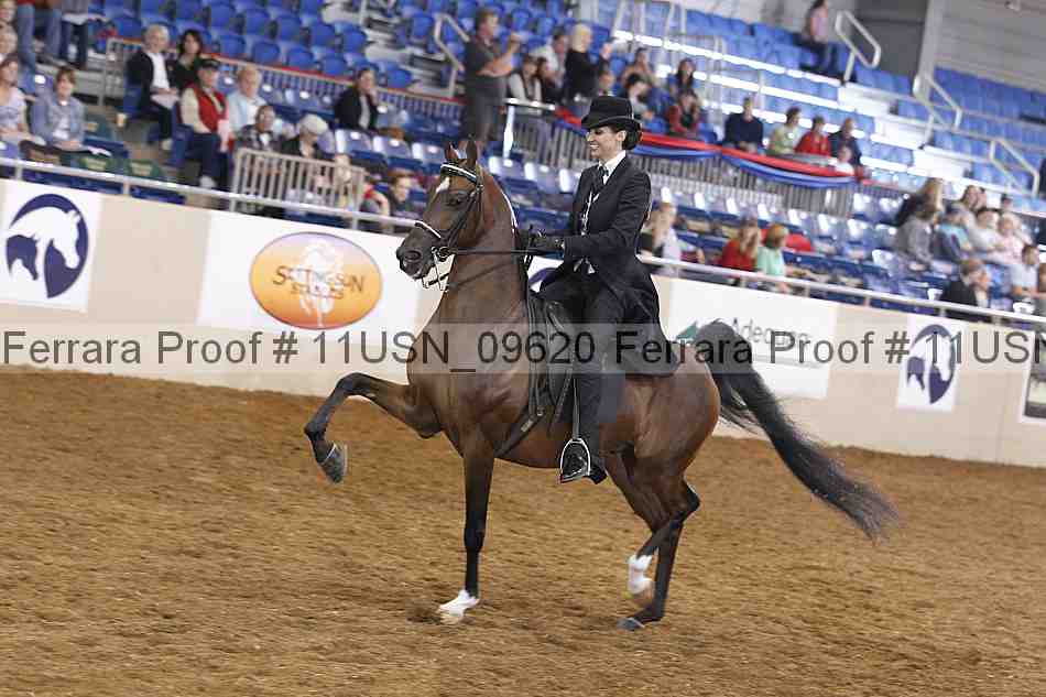 Proof 11usn_09620