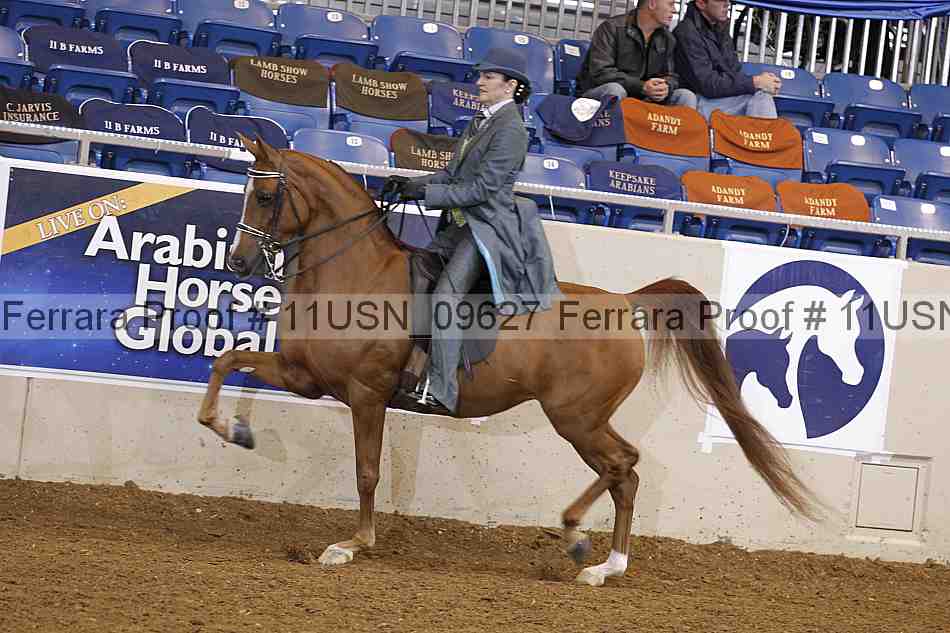 Proof 11usn_09627